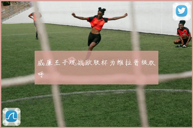 威廉王子观战欧联杯为维拉晋级欢呼