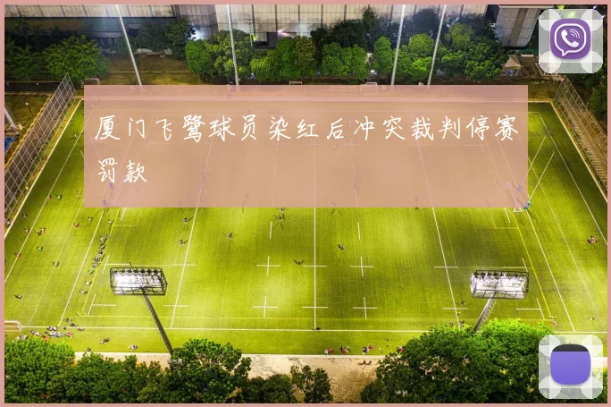 厦门飞鹭球员染红后冲突裁判停赛罚款